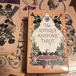 The Antique Anatomy Tarot Deck - Beige & Cream Box